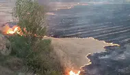 Anız yangınında 400 dekar tarım arazisi zarar gördü