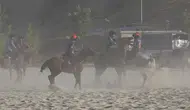 Türkiye Kökbörü Ligi final müsabakası Ahlat'ta oynandı