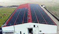 IPARD III kapsamında 634,3 milyon liralık hibe hesaplara yatırıldı
