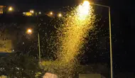 Sineklerin ölüm dansı başladı