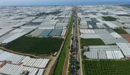 Antalya'da 200 bin dekarlık alandaki seralarda dönüşüm hamlesi