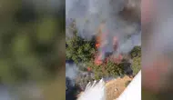 Balıkesir'de orman yangını! Ekipler havadan ve karadan destek veriyor