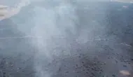Elazığ'da ormana sıçrayan yangına müdahale ediliyor