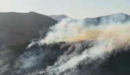 Bingöl'de orman yangını kontrol altına alındı