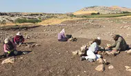 Çayönü Tepesi'nde tarihi kalıntılar gün yüzüne çıkıyor