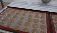 Çölyak hastaları için tescilli kayısı çekirdeğinden glütensiz bisküvi üretildi