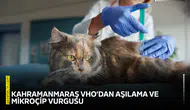 Kahramanmaraş VHO’dan aşılama ve mikroçip vurgusu