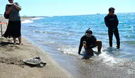 Uydu cihazı takılan yeşil deniz kaplumbağası denize bırakıldı