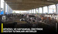 Bitkisel ve hayvansal üretimde destek tutarları artırıldı