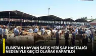 Elbistan Hayvan Satış Yeri şap hastalığı nedeniyle kapatıldı