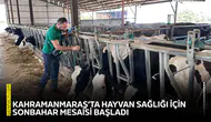 Kahramanmaraş’ta hayvan sağlığı için sonbahar mesaisi başladı