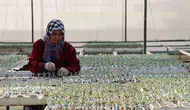 Tohumculukta 1850 firma devlet desteğiyle sektörü zirveye taşıyor