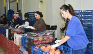 Batı Akdeniz'de 9 aylık yaş meyve ihracatı yüzde 53,5 arttı