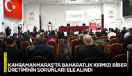 Kahramanmaraş'ta baharatlık kırmızı biber üretiminin sorunları ele alındı