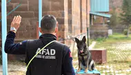 Van'da arama kurtarma köpekleri, hayat kurtarmak için eğitiliyor