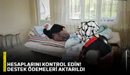 Hesaplarını kontrol edin! Destek ödemeleri aktarıldı