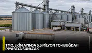 TMO, Ekim ayında 5,5 milyon ton buğdayı piyasaya sunacak