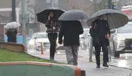 Yağışlar ve su rezervlerindeki artış yeni üretim sezonu için olumlu sinyaller veriyor