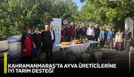 Kahramanmaraş’ta ayva üreticilerine iyi tarım desteği