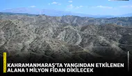 Kahramanmaraş'ta yangından etkilenen alana 1 milyon fidan dikilecek