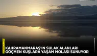 Kahramanmaraş'ın sulak alanları göçmen kuşlara yaşam molası sunuyor