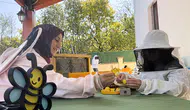 Kimya mühendisi anne çocuklara cam kovanla arıların dünyasını anlatıyor