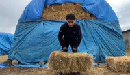 Milli kuraşçı Diyar Savcı, köyünde güç depoluyor