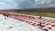 Mevsimlik işçilerin temmuzda başlayan domates kurutma mesaisi sürüyor