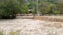 Aşırı yağış nedeniyle dereler taştı! Araziler ve evler sular altında kaldı