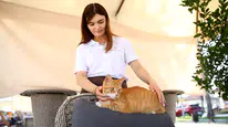 Esnafın evi ve iş yeri sahipsiz kedilerin güvenli limanı oldu