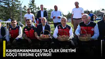 Kahramanmaraş’ta çilek üretimi göçü tersine çevirdi!