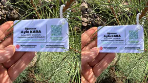 Saldırıda hayatını kaybeden öğretmen ve öğrenciler için fidan dikildi