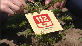 Ayla öğretmen ve öğrencilerinin adı hatıra ormanında dikilen fidanlarda yaşatılacak