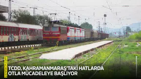 TCDD, Kahramanmaraş’taki hatlarda otla mücadeleye başlıyor