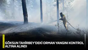 Göksun Tahirbey'deki orman yangını kontrol altına alındı