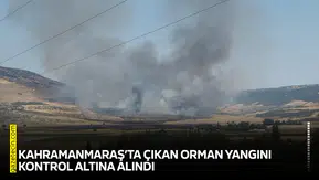 Kahramanmaraş’ta çıkan orman yangını kontrol altına alındı