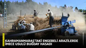 Kahramanmaraş'taki engebeli arazilerde imece usulü buğday hasadı
