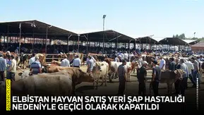 Elbistan Hayvan Satış Yeri şap hastalığı nedeniyle kapatıldı