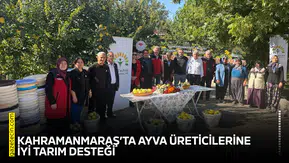Kahramanmaraş’ta ayva üreticilerine iyi tarım desteği