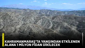 Kahramanmaraş'ta yangından etkilenen alana 1 milyon fidan dikilecek