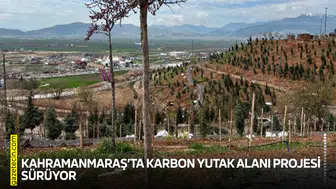 Kahramanmaraş’ta karbon yutak alanı projesi sürüyor