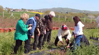 UNDP desteğiyle kadın çiftçilere ilaçsız tarım eğitimi verildi