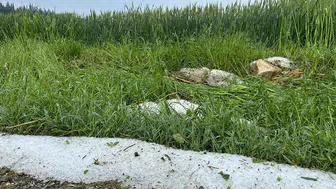 Osmaniye'de dolu ekili tarım alanlarına zarar verdi