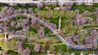 Doğanın renklerinden görsel şölen