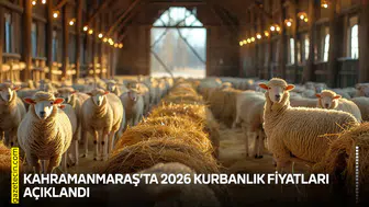 Kahramanmaraş’ta 2026 kurbanlık fiyatları açıklandı