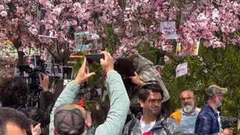 Tunceli'de ağaçlara Gülistan Doku'nun fotoğrafları asıldı