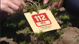 Ayla öğretmen ve öğrencilerinin adı hatıra ormanında dikilen fidanlarda yaşatılacak