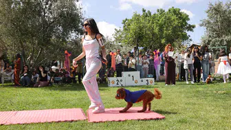 Gaziantep'te köpek güzellik yarışması düzenlendi