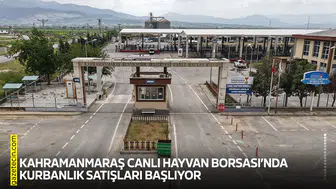 Kahramanmaraş Canlı Hayvan Borsası’nda kurbanlık satışları başlıyor