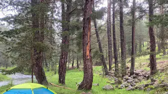 Bolu'da yıldırım düşmesi sonucu 3 kişi yaralandı